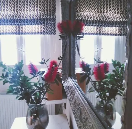 Vasiliki's House Naxos City