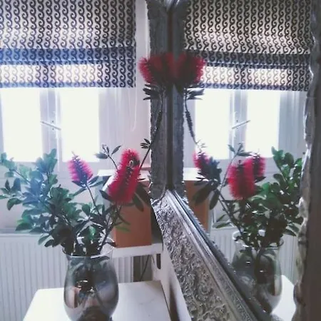 Vasiliki's House Naxos City